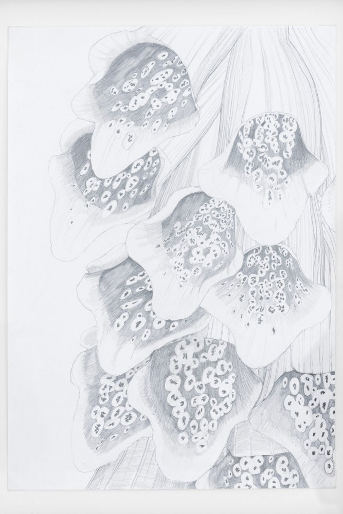 Tony Cragg, ‘Ohne Titel’, 2015, pencil on paper