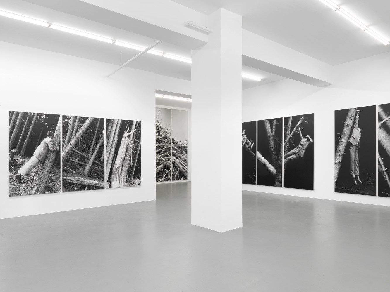 Anna & Bernhard Blume, ‘Im Wald’, Installationsansicht, 2014