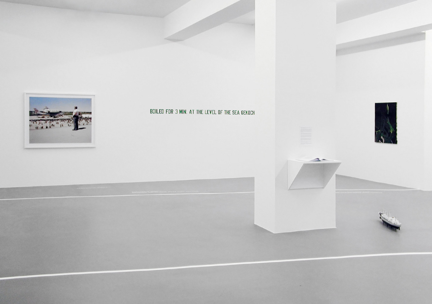 Joel Sternfeld, Lawrence Weiner, Clare Woods, Installationsansicht, Buchmann Galerie, 2009