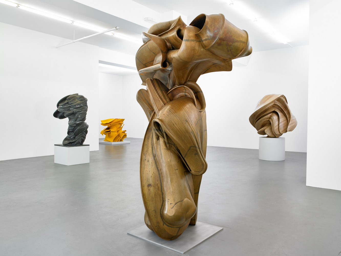Tony Cragg, Installation view, Buchmann Galerie, 2015