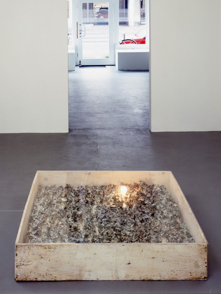 Lawrence Carroll, ‘Lawrence Carroll ’, Installationsansicht, Buchmann Galerie Köln, 2000