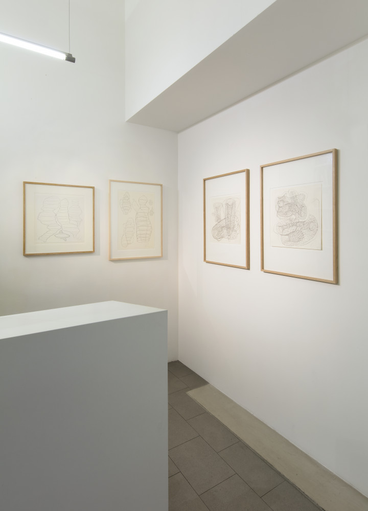 Tony Cragg, ‘TONY CRAGG’, Installation view, Buchmann Lugano, 2021