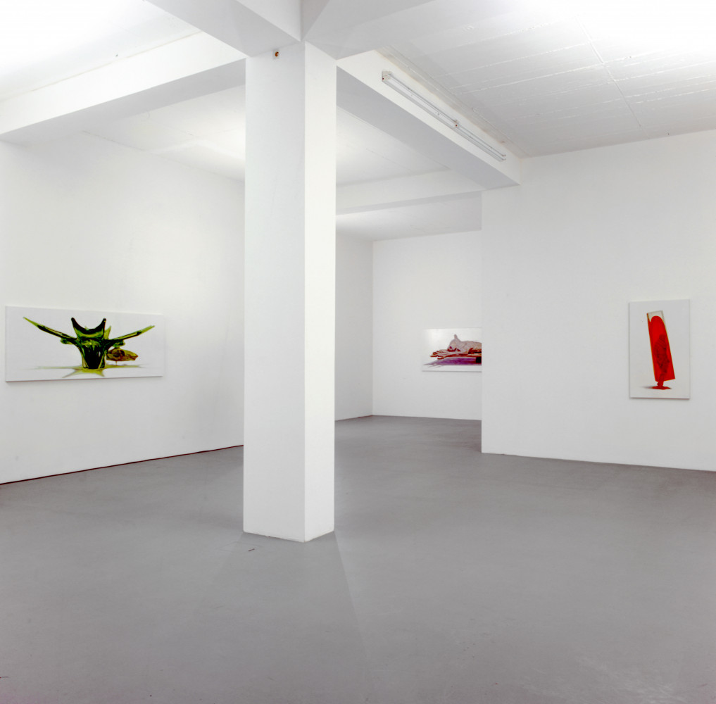 Installationsansicht, Buchmann Galerie Köln, 1998–1998