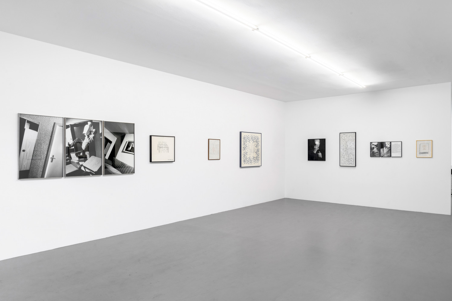Anna & Bernhard Blume, Des Hughes, Installationsansicht, Buchmann Galerie, 2021
