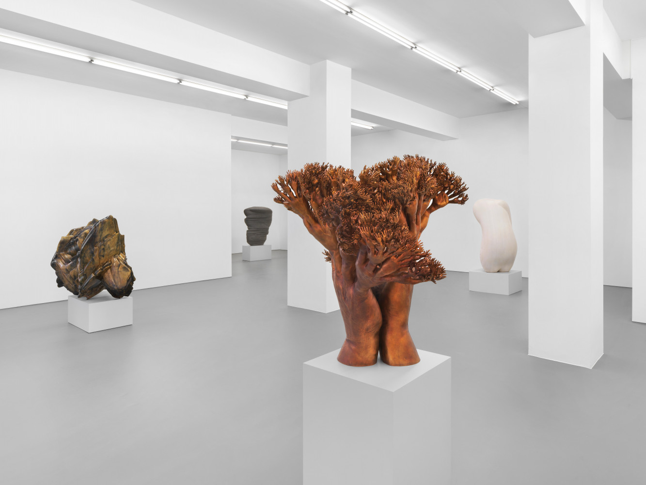 Tony Cragg, Installation view, Buchmann Galerie, 2021