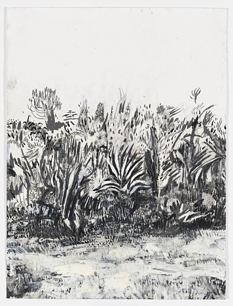 Raffi Kalenderian, ‘Cactus Garden’, 2015
