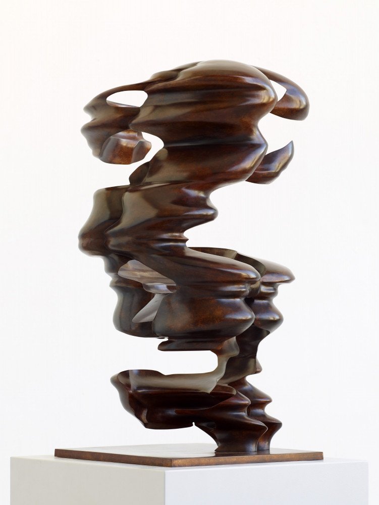 Tony Cragg, Hollow Head, Bronze, 77x43x44cm, 2019, sculpture, Skulptur