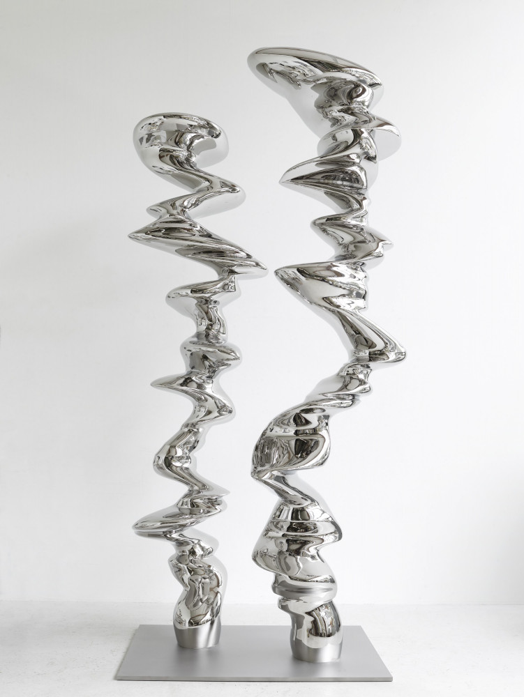 Tony Cragg, untitled, Edelstahl, Stainless steel, sculpture, steel, 2020