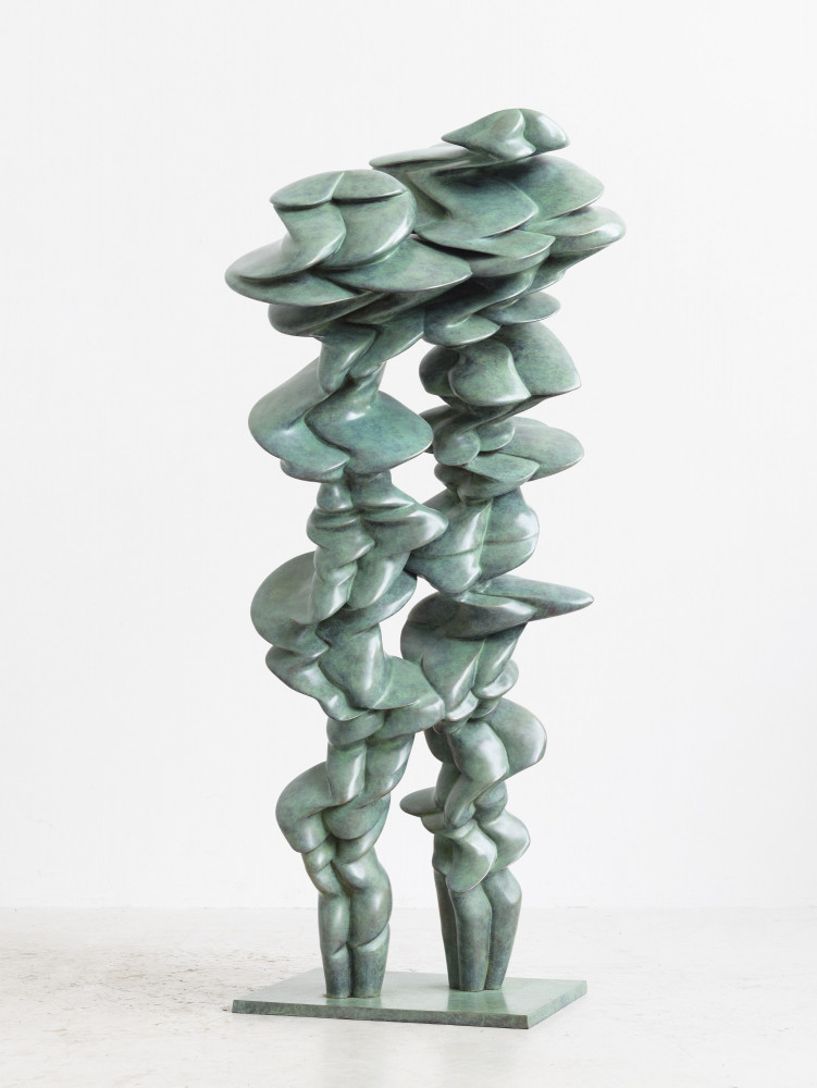 Tony Cragg, Pair, 142x65x54cm, Bronze, 2021, sculpture, Skulptur