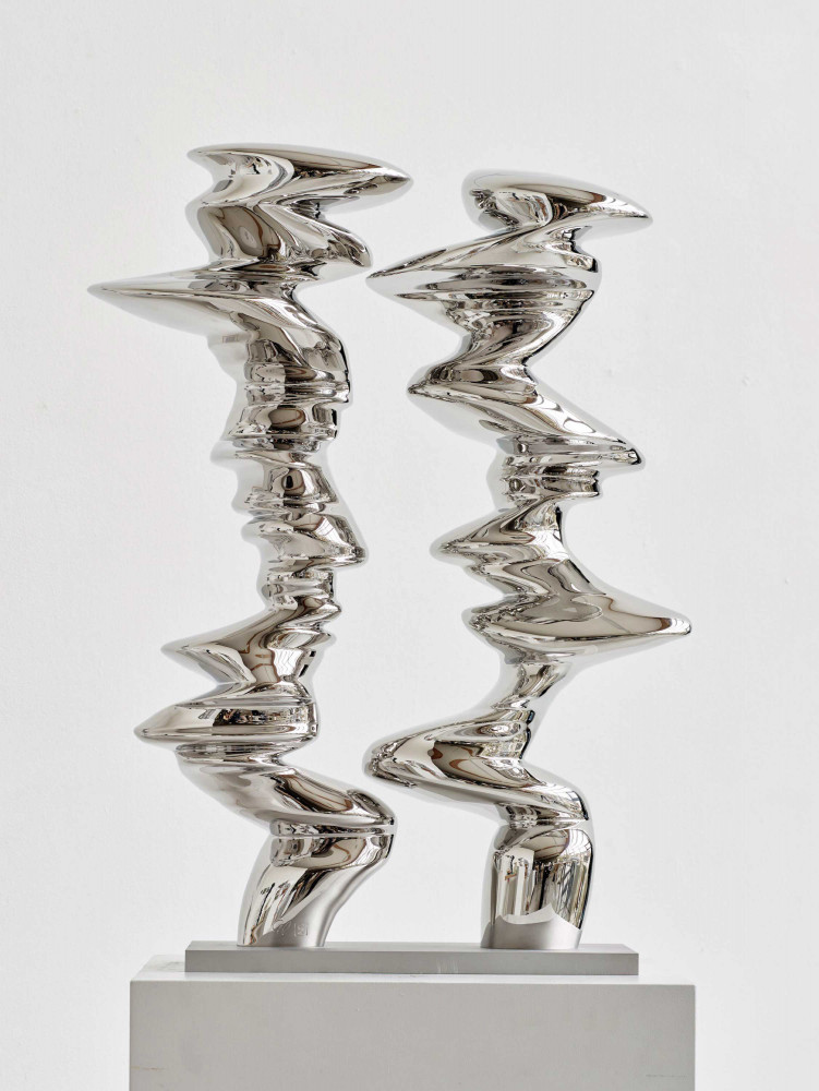 Tony Cragg, ‘Points of View’, 2020