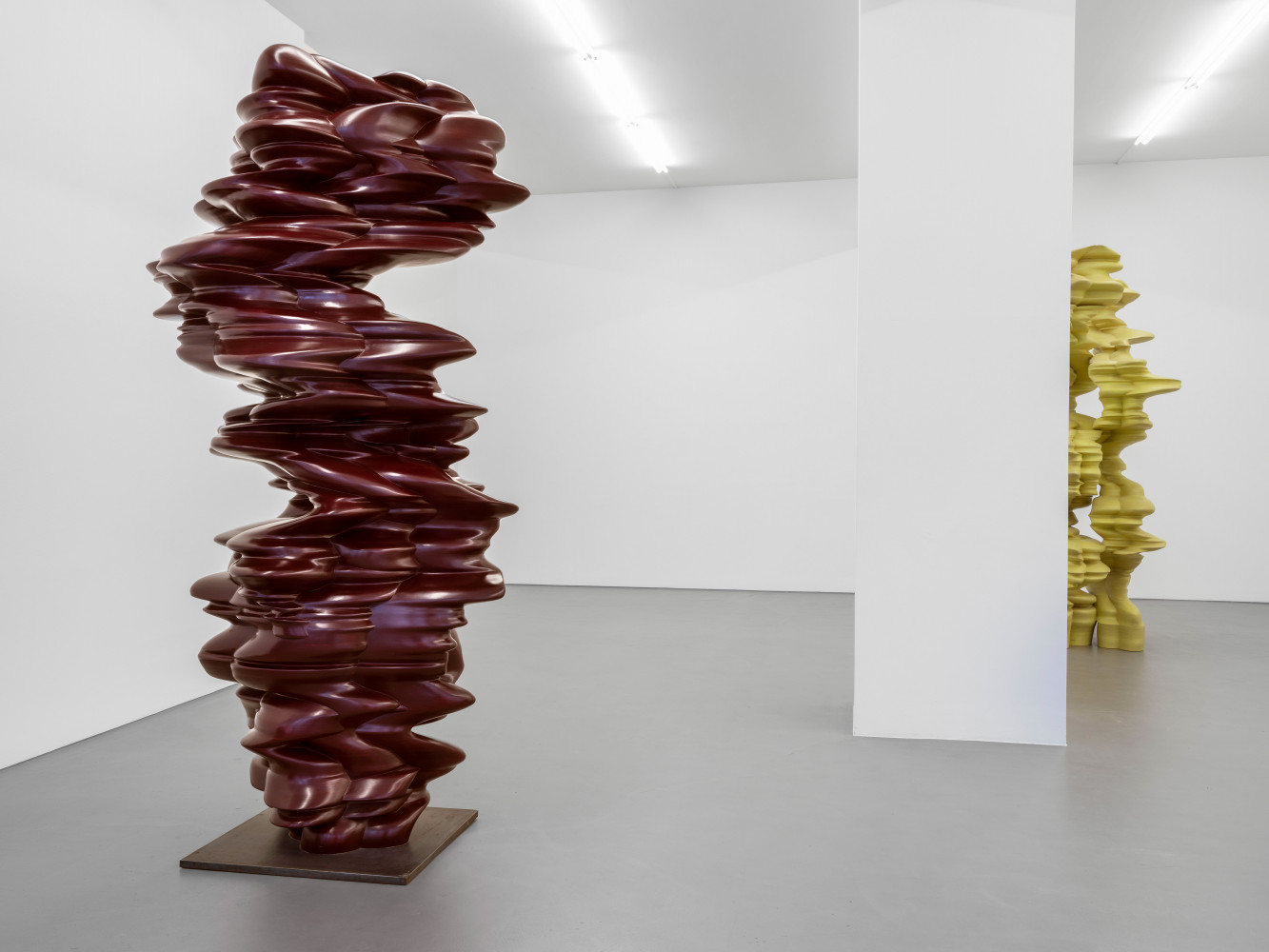 Tony Cragg, Installation view, Buchmann Galerie, 2024