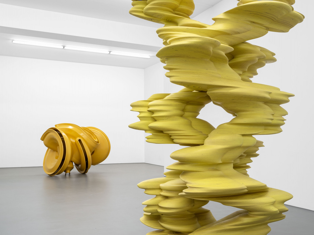 Tony Cragg, Installationsansicht, Buchmann Galerie, 2024