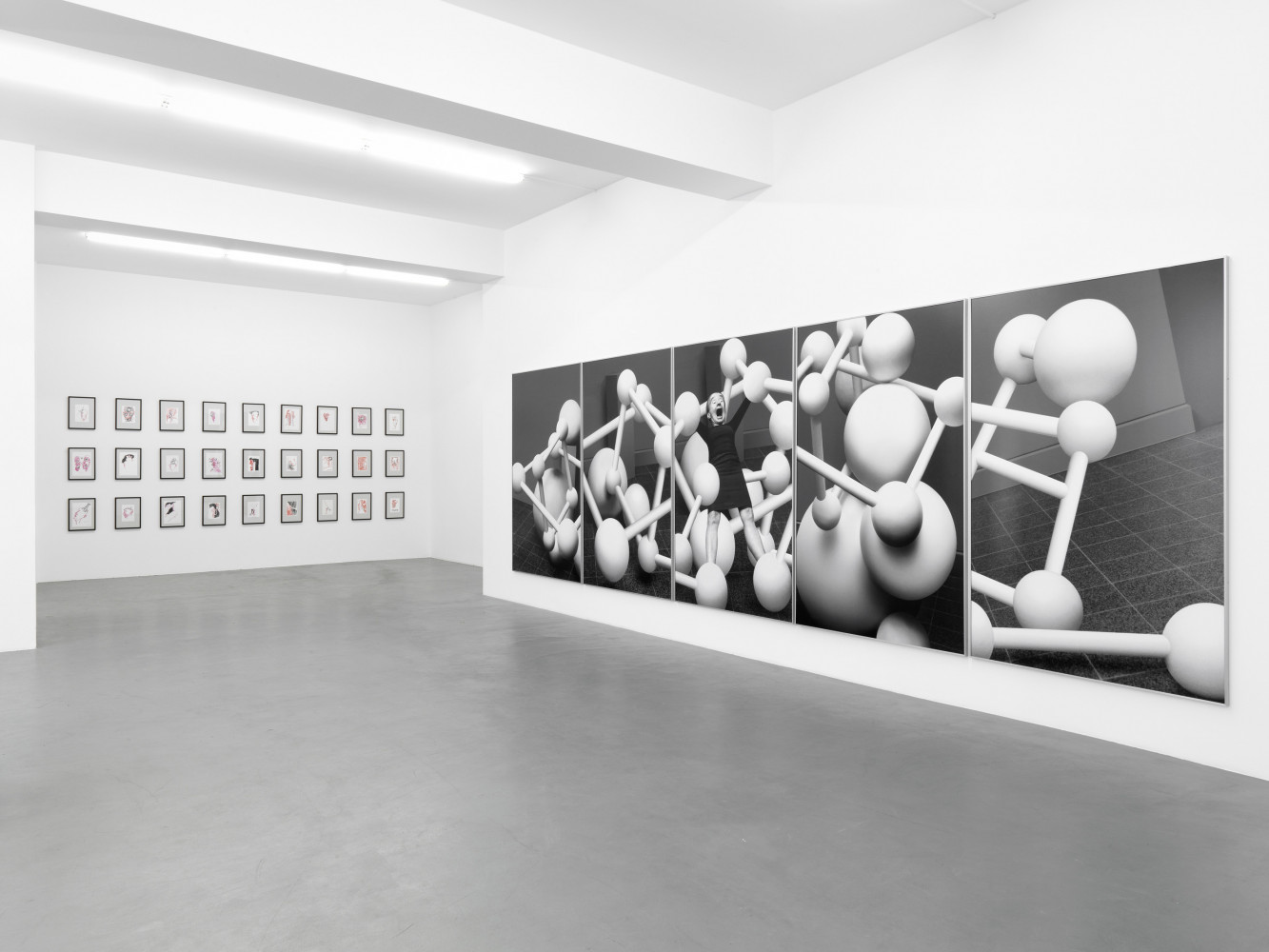 Anna & Bernhard Blume, Installation view, Buchmann Galerie, 2011