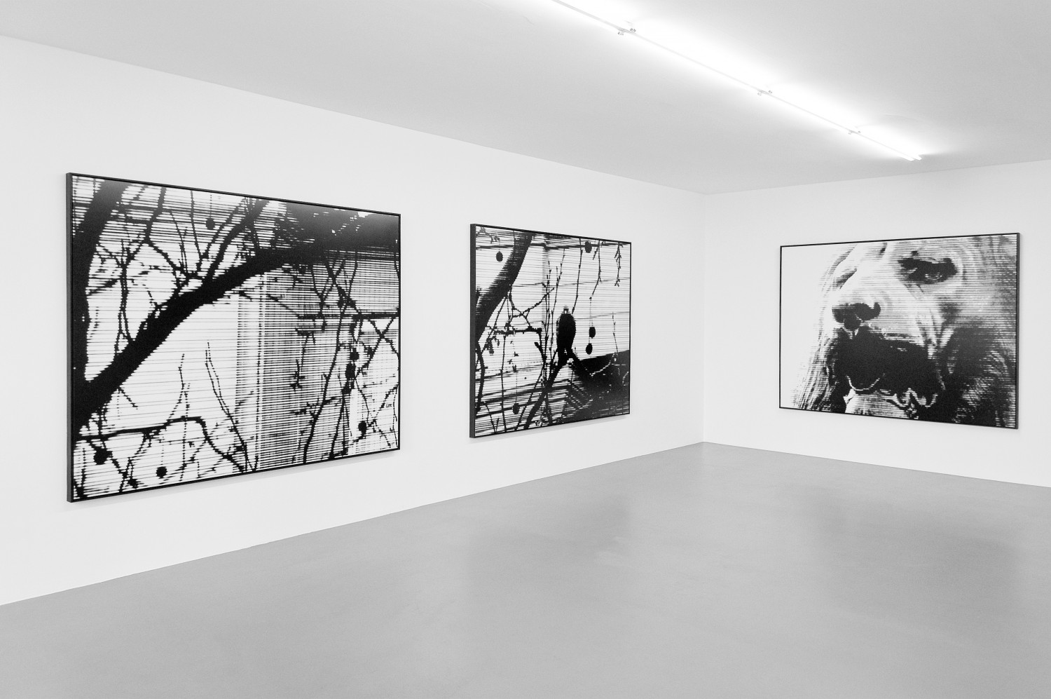 Bettina Pousttchi, ‘Tomorrow Was Yesterday’, Installation view, Buchmann Box, 2008