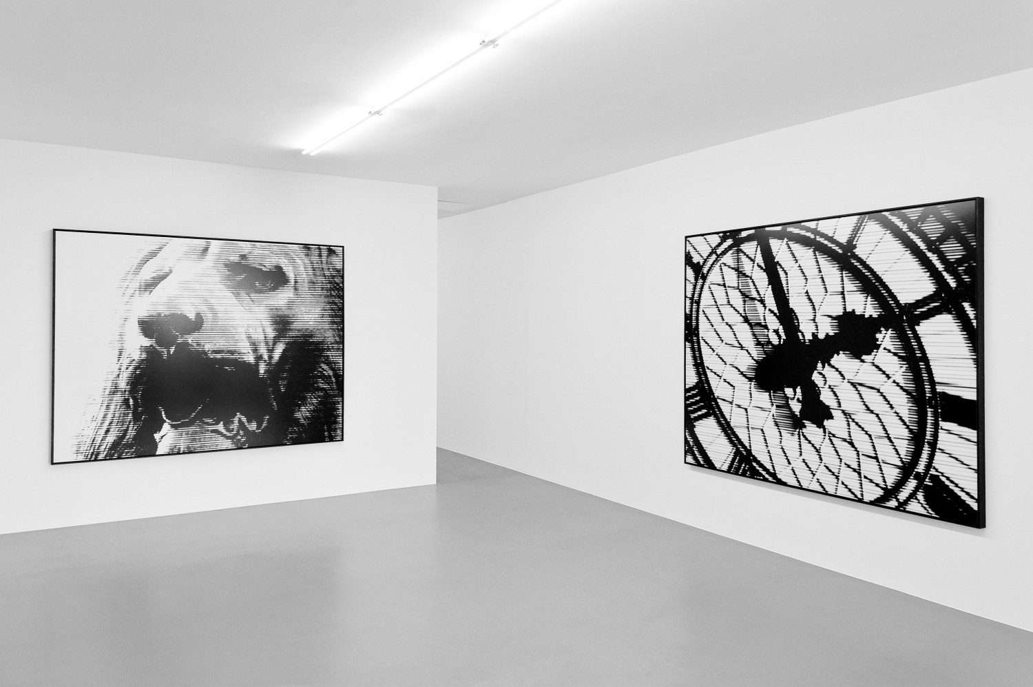 Bettina Pousttchi, Installation view, Buchmann Box, 2008