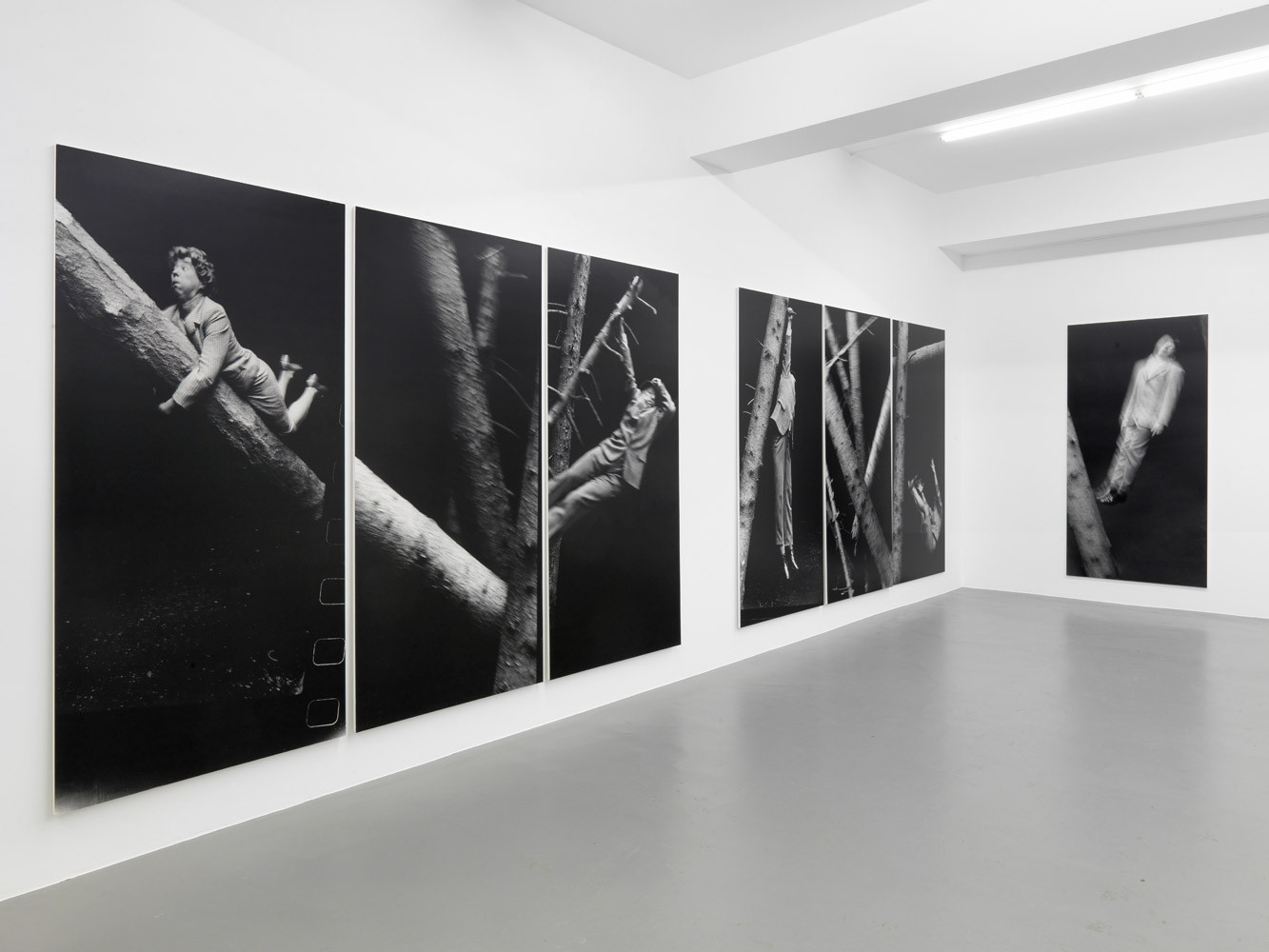 Anna & Bernhard Blume, ‘Im Wald’, Installation view, Buchmann Galerie, 2014