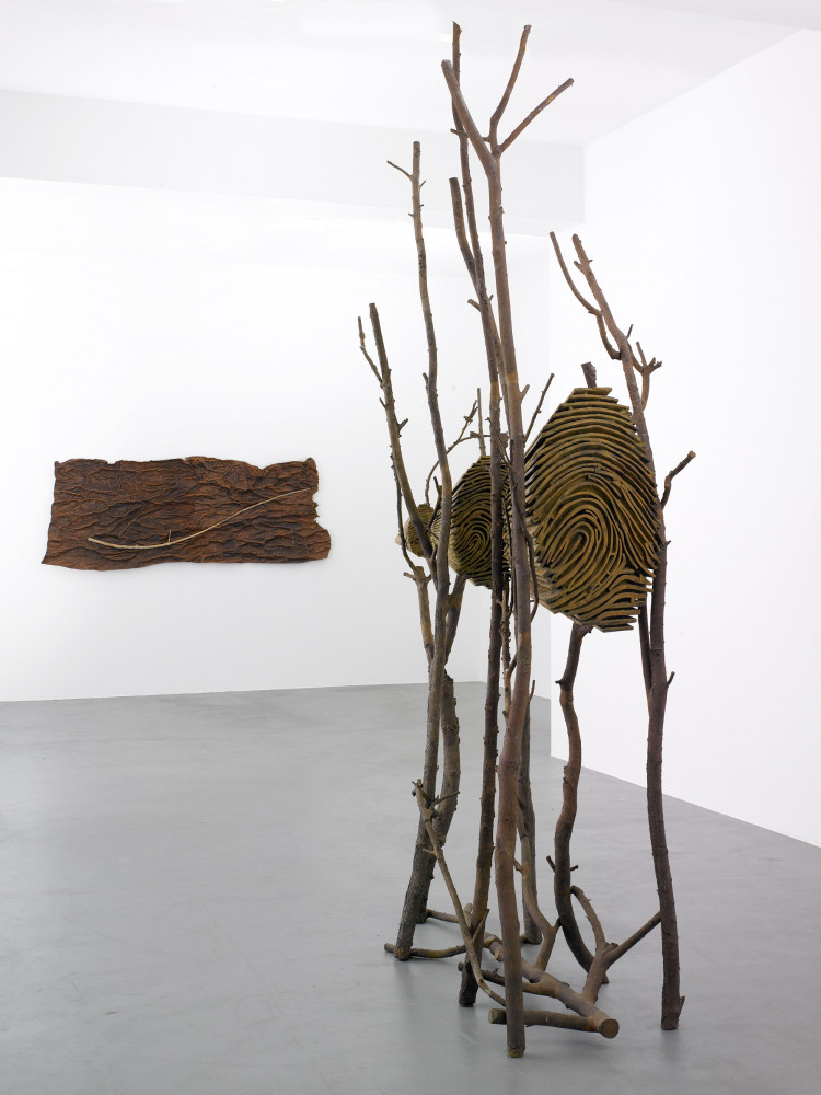 ‘Guiseppe Penone’, Installationsansicht, Buchmann Galerie, 2009