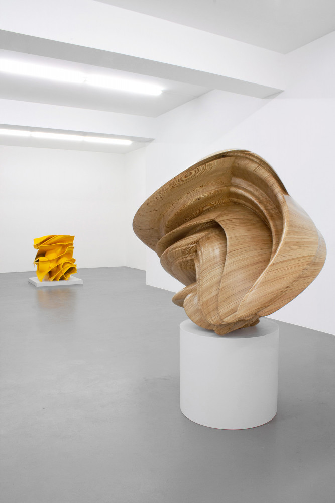 Tony Cragg, Installation view, Buchmann Galerie, 2015