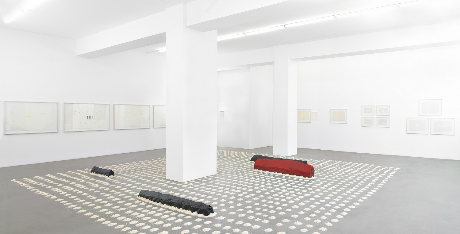 Wolfgang Laib, Installationsansicht, Buchmann Galerie, 2011