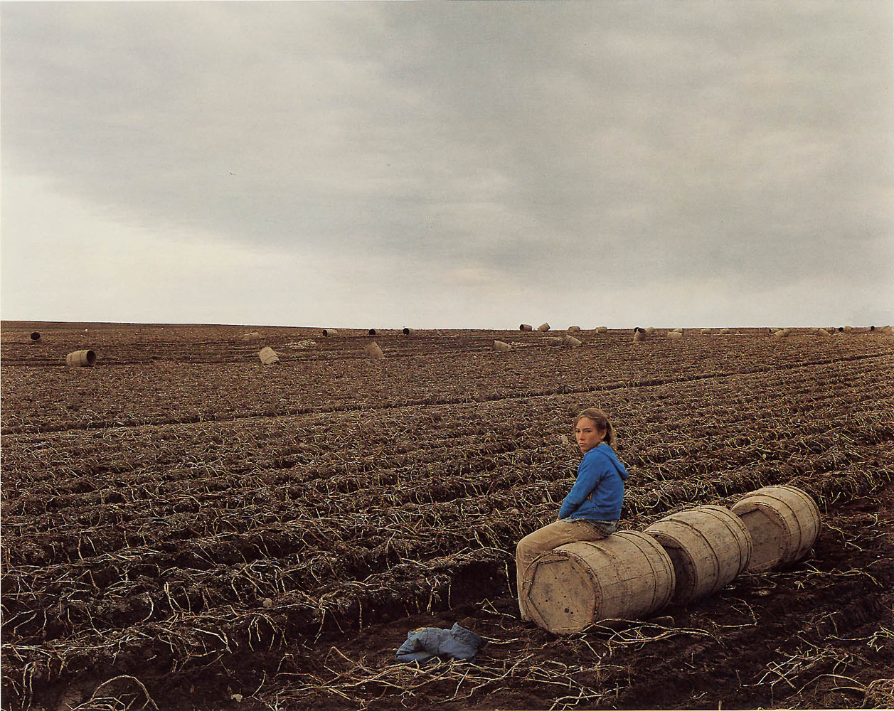 Joel Sternfeld, ‘Potato Harvest, Aroostook County, Main, October’, 1982