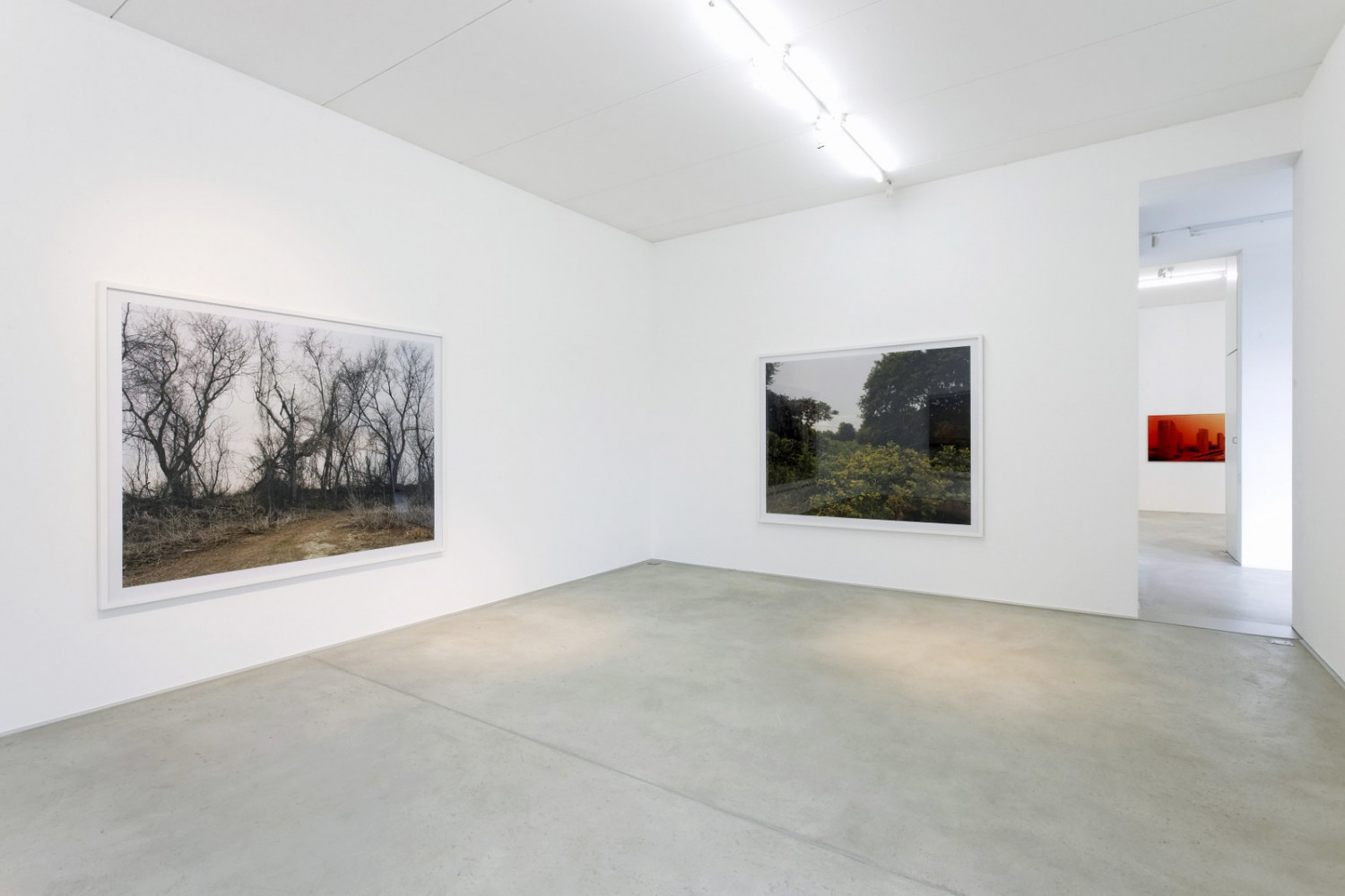 ‘Zaha Hadid_Joel Sternfeld – Landscape?’, Installation view, Buchmann Agra