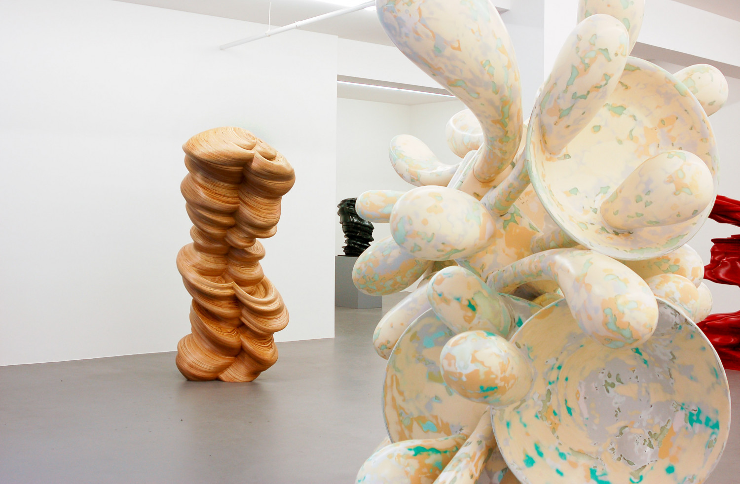 Tony Cragg, Installationsansicht, Buchmann Galerie, 2008