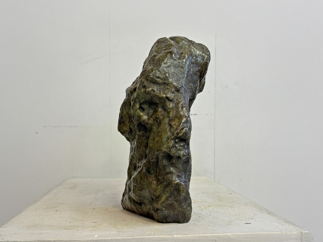 William Tucker, ‘William’, 2024, Bronze