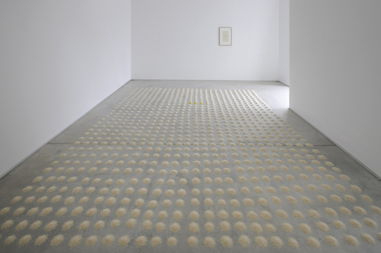 ‘Infinito – Wolfgang Laib_Mario Merz_Tatsuo Miyajima’, Installation view, Buchmann Agra
