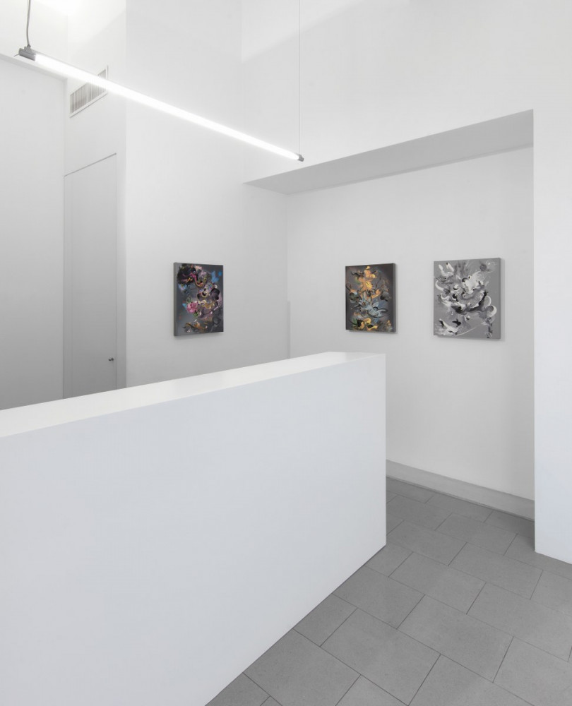 Fiona Rae, Installation view, Buchmann Lugano, 2017