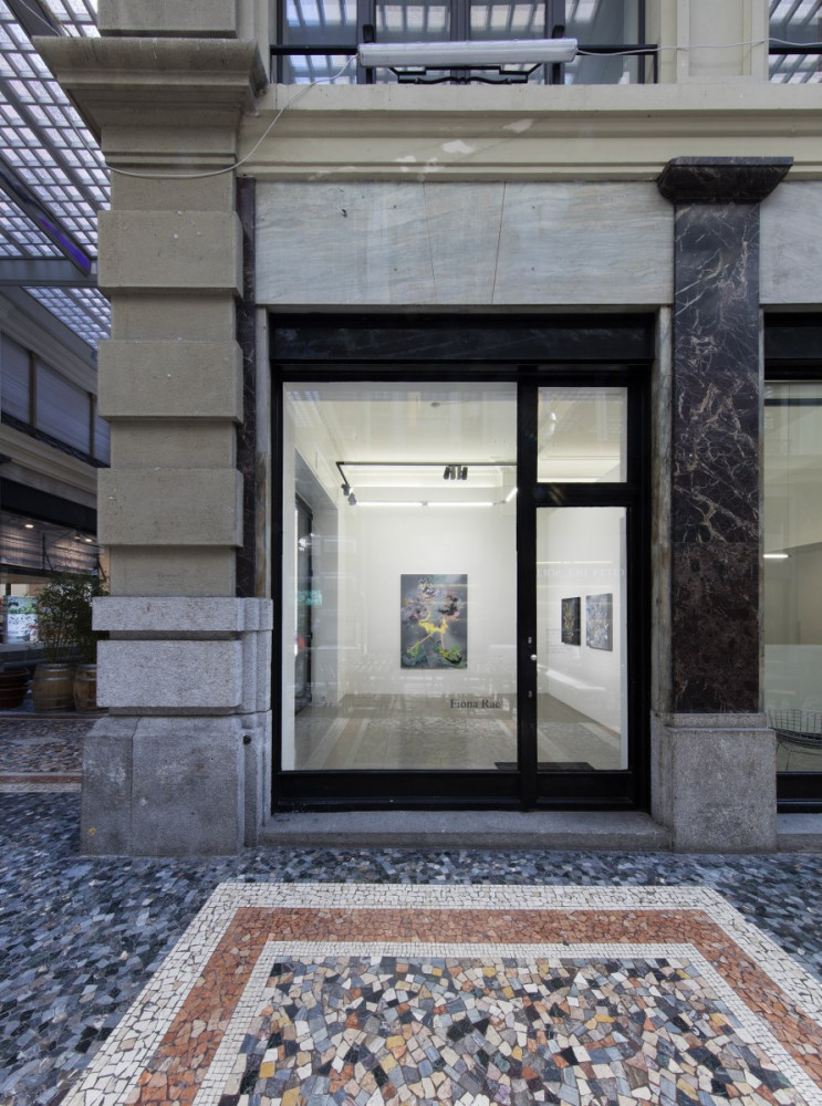 Fiona Rae, Installationsansicht, Buchmann Lugano, 2017