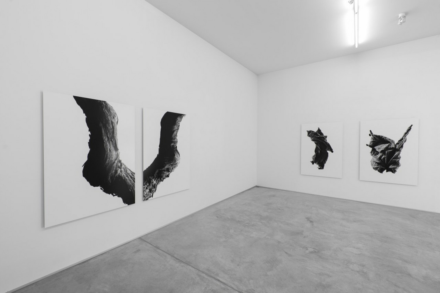 Marco D'Anna, ‘Oltre’, Installation view, Buchmann Agra, 2016