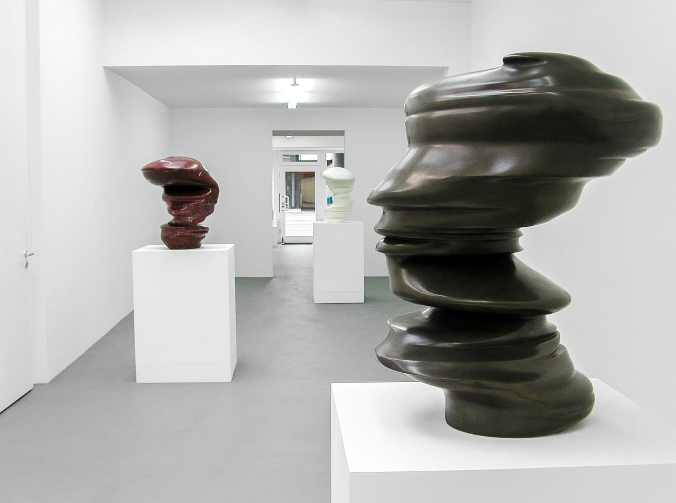 Tony Cragg, Installation view, Buchmann Galerie Köln, 2002