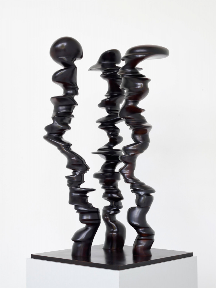 Tony Cragg, ‘Points of View’, 2014