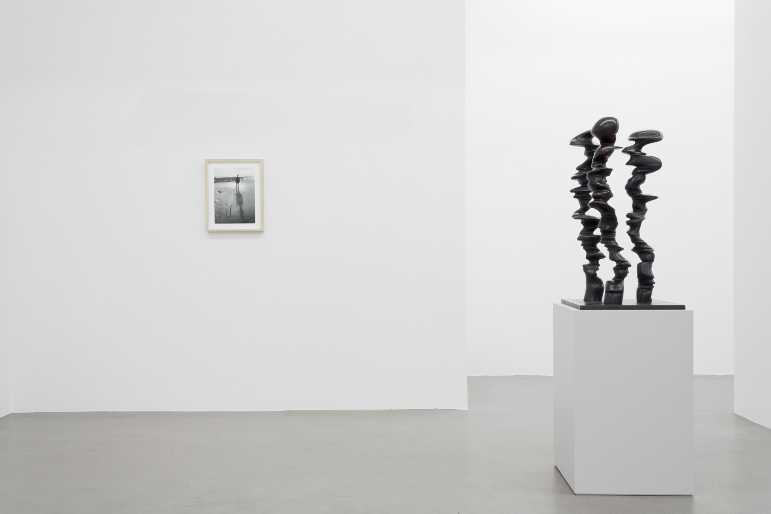 Tony Cragg, ‘Figure – Tony Cragg - Martin Disler - Medardo Rosso - William Tucker - Rebecca Warren’, Installation view, Buchmann Galerie