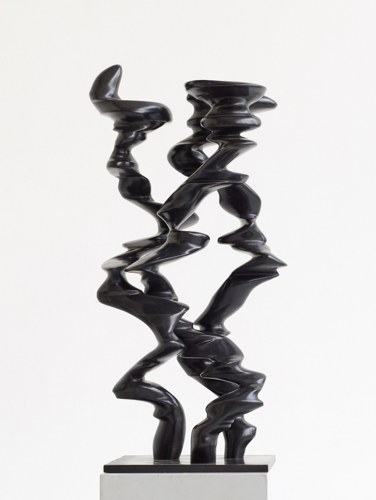 Tony Cragg, ‘Points of View’, 2019