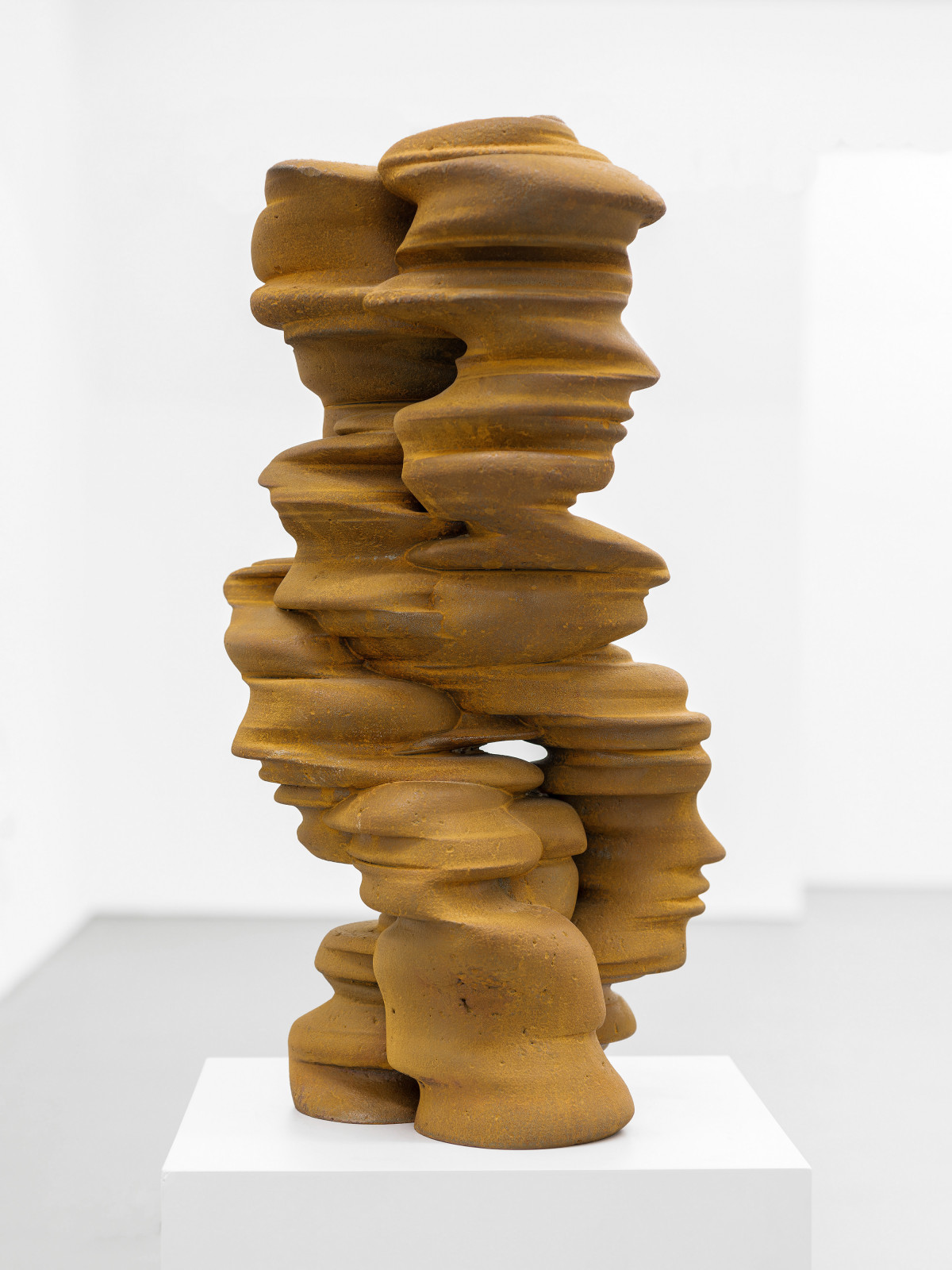 Tony Cragg, ‘Not yet titled’, 2010