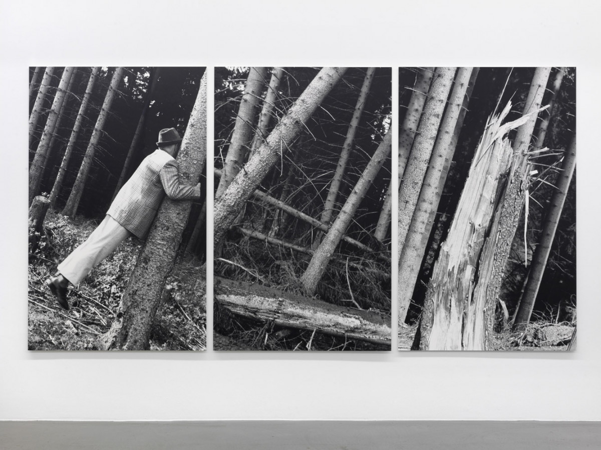 Anna & Bernhard Blume, ‘Kontakt mit Bäumen’, 1987