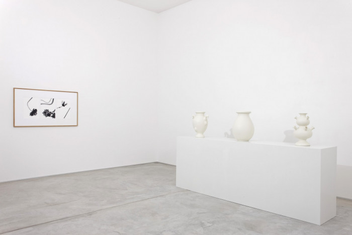 Installation view, Buchmann Agra, 2015
