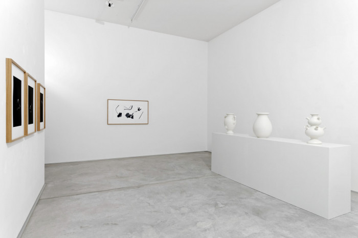 Installation view, Buchmann Agra, 2015