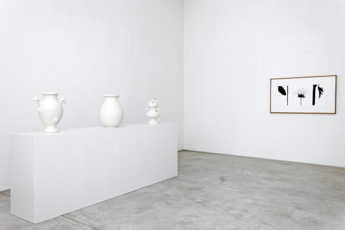 Installation view, Buchmann Agra, 2015