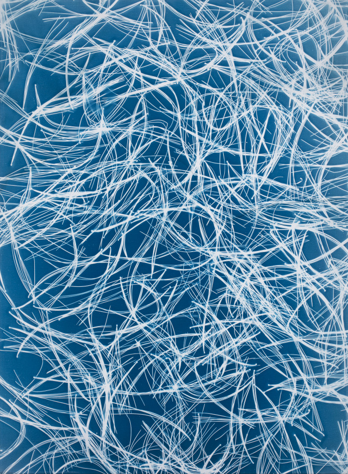 Véronique Arnold, ‘Écriture lumineuse’, 2019-2019, Cyanotype on canvas