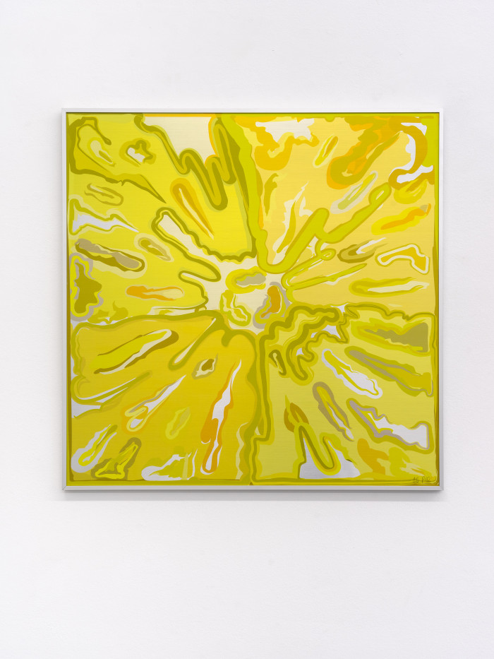 Peter Halley Explosion 2017