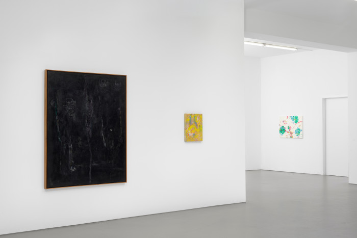 Installation view, Buchmann Galerie