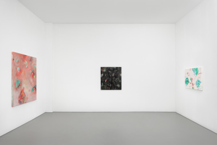 Installationsansicht, Buchmann Galerie, 2026