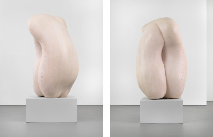 Tony Cragg wood sculpture Integer from 2020 in the Buchmann Galerie