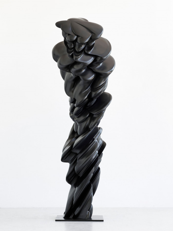 Tony Cragg, ‘Contradiction’, 2014, Bronze