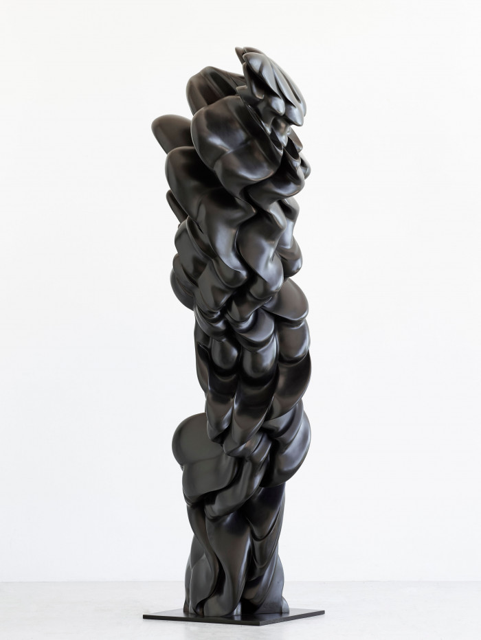 Tony Cragg, ‘Contradiction’, 2014, Bronze