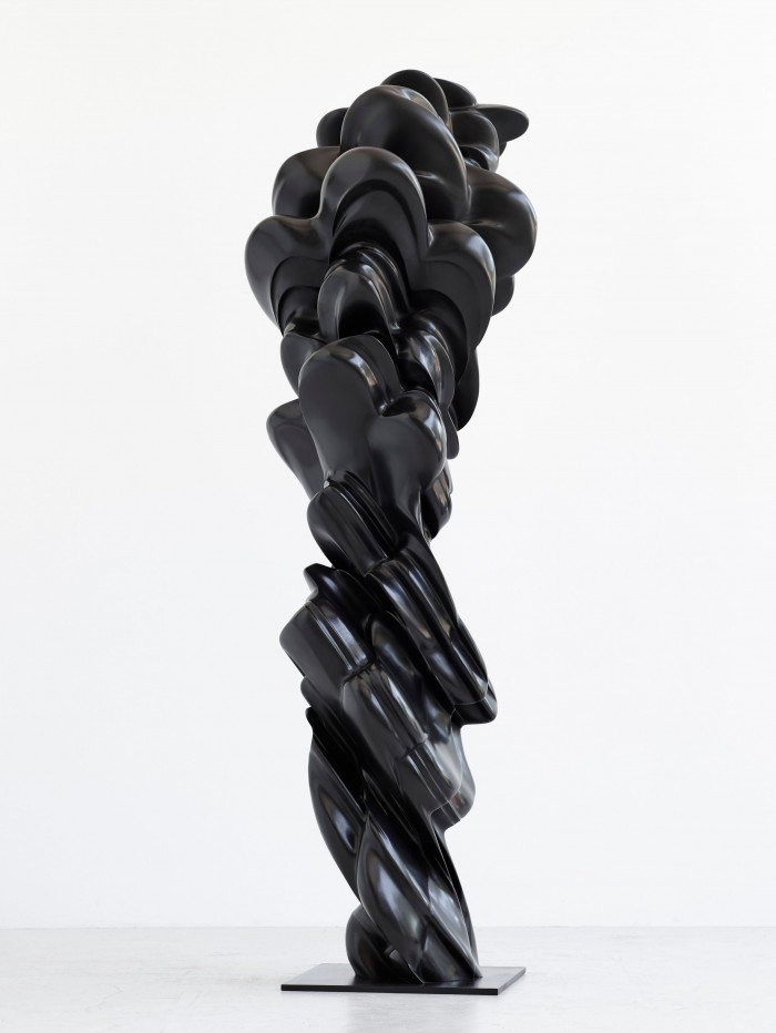 Tony Cragg, ‘Contradiction’, 2014, Bronze