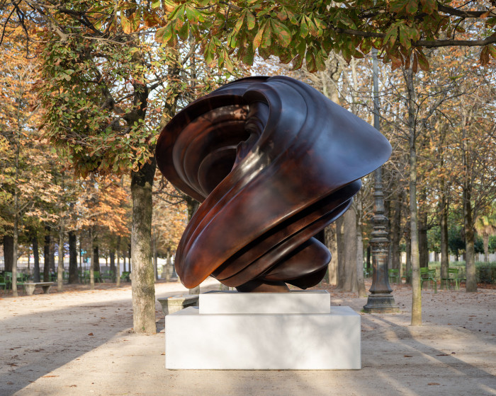 Tony Cragg, ‘Willow’, 2014, Bronze, Unikatversion von maximal vier Güssen in unterschiedlicher Patina