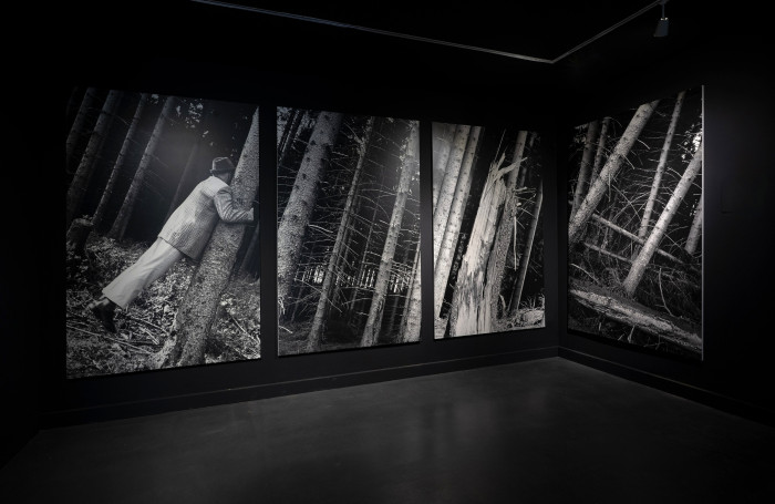 Anna & Bernhard Blume, ‘Kontakt mit Bäumen (Contact with Trees)’, Negative: 1987 | Printed: 1988 / Silver gelatin prints, mounted on rigid foam panels, coated with UV-protective varnish